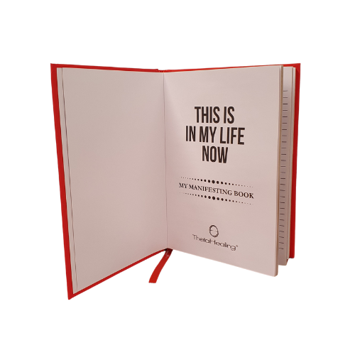 My Manifesting Book